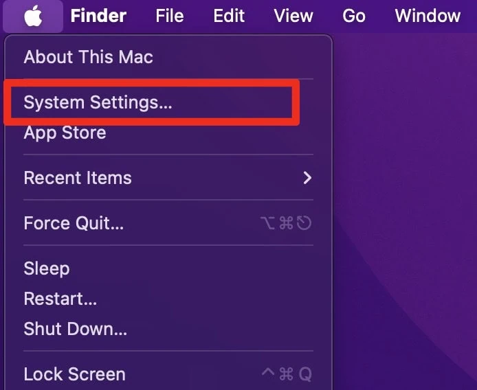 MacOS Ventura Or Later