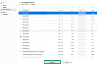Recover files from Recently Deleted on iCloud Drive.